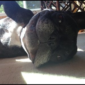 Meet your Posher, Karla