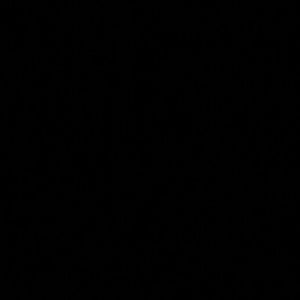 Meet your Posher, Berenice