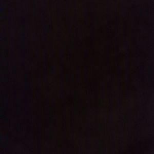 Meet your Posher, Ty