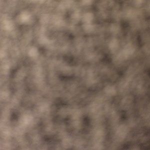 Meet your Posher, Kizzy