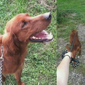 Meet your Posher, Glory