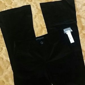 Theory Pants