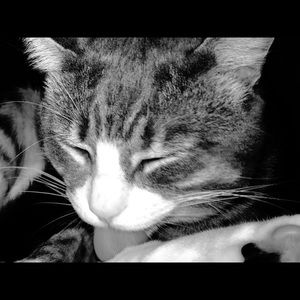 Meet your Posher, Kerri