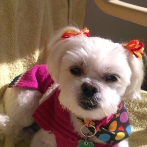 Meet your Posher, Susan