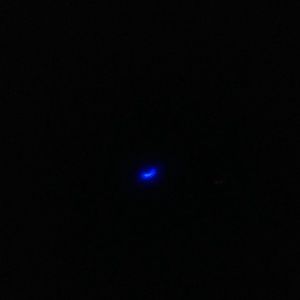 Meet your Posher, Ann