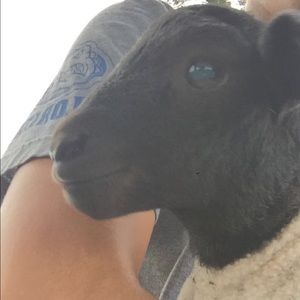 Meet your Posher, Jose