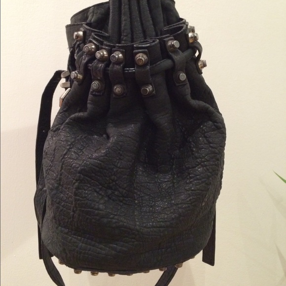 ❌SOLD❌Alexander Wang Diego Bucket Bag - Picture 2 of 3