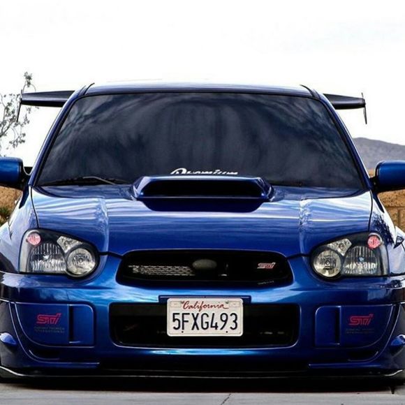 Meet your Posher, Kris - Picture 1 of 1