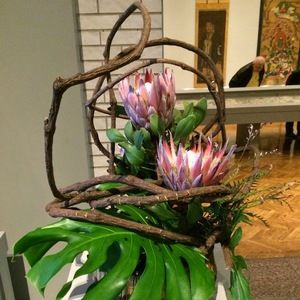 Meet your Posher, Colleen