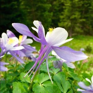 Meet your Posher, Jillian