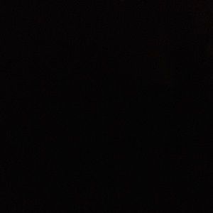 Meet your Posher, Daryl