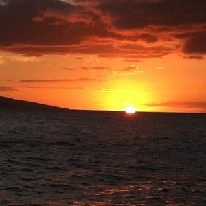 Meet your Posher, Caryn