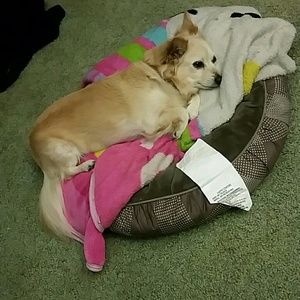 Meet your Posher, Tasha