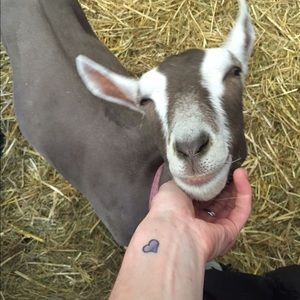 Meet your Posher, Amy