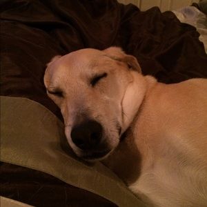 Meet your Posher, Mindy