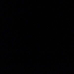 Meet your Posher, Will