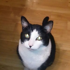 Meet your Posher, Jack