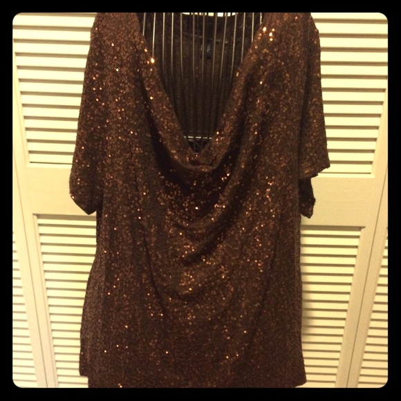 Brown/Glittery Bronze Short Sleeve Top