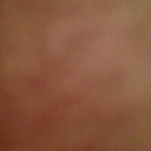 Meet your Posher, Sophia