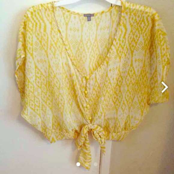 Sheer Crop Top Blouse