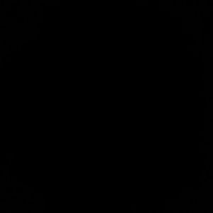 Meet your Posher, Aaliyah