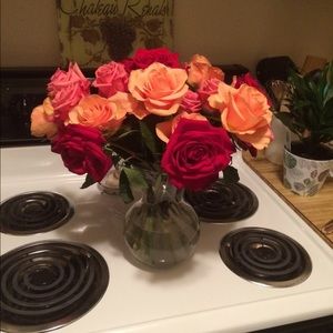 Meet your Posher, Jessie