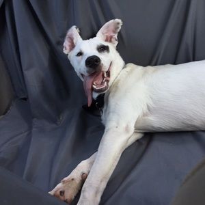 Meet your Posher, Megan