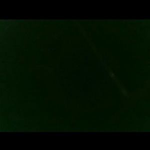 Meet your Posher, Paloma