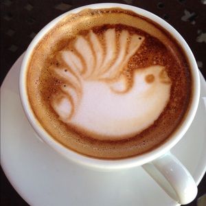 Meet your Posher, Patricia