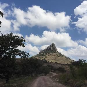 Meet your Posher, Griselda