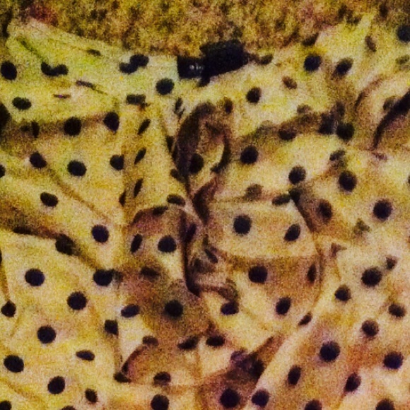 $$ SOLD $$ - Picture 3 of 3