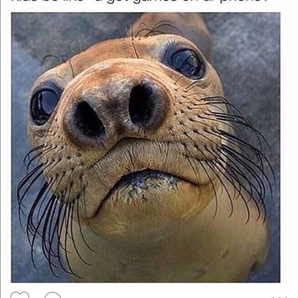 Meet your Posher, Paulette