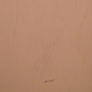 Meet your Posher, Mikey