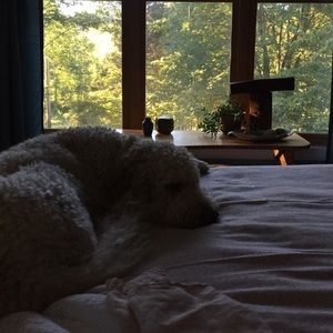 Meet your Posher, Barb