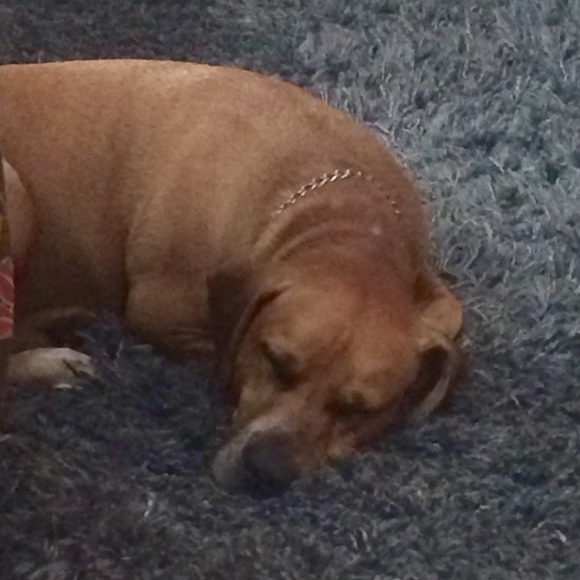 💕Meet Me!✌🏼️ - Picture 2 of 7