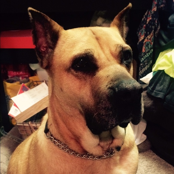 💕Meet Me!✌🏼️ - Picture 6 of 7