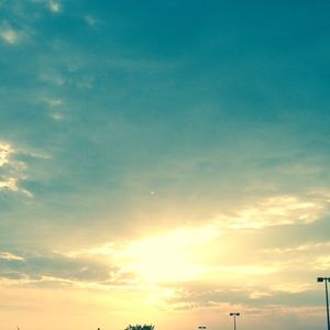 Meet your Posher, Maddie