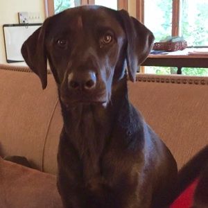 Meet your Posher, Ann