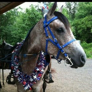 Meet your Posher, Noelle