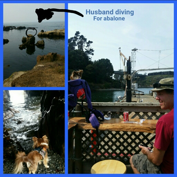 HI!!! 😊Welcome to my closet! - Picture 4 of 4