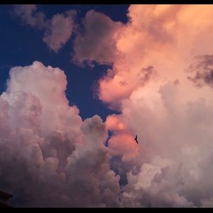 Meet your Posher, Shaylah