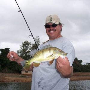 Meet your Posher, Wayne