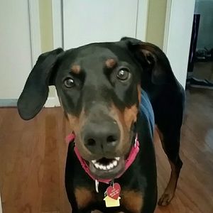 Meet your Posher, Marci