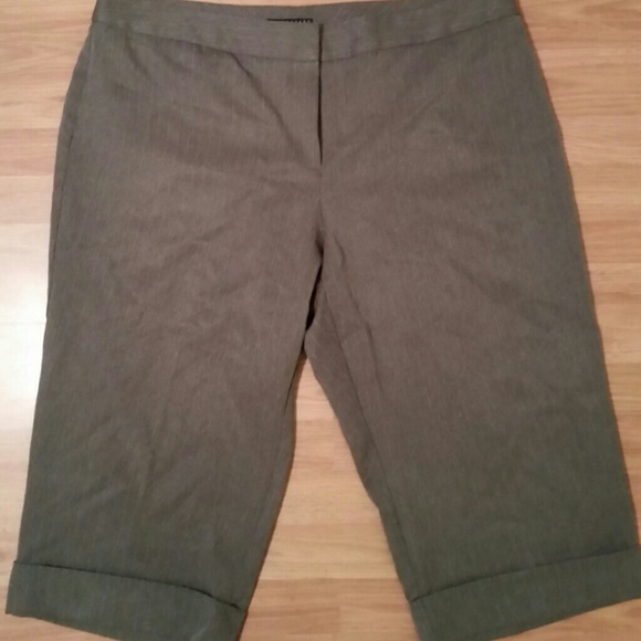 Gaucho Dress pants