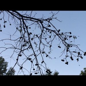 Meet your Posher, Ashlee