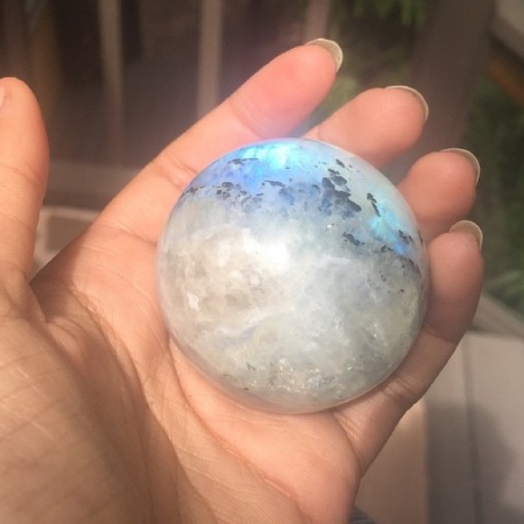 Meet your Posher, Adrian - Picture 1 of 1