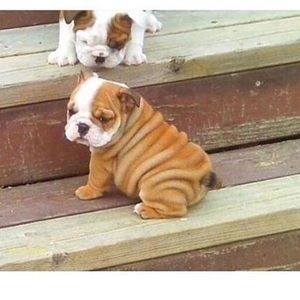 Meet your Posher, Alejandra