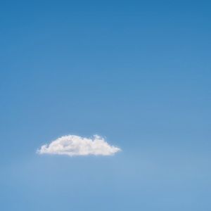 Meet your Posher, Frank