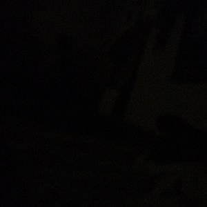 Meet your Posher, Daniela