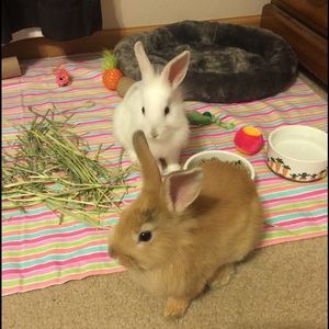 Meet your Posher, Cali